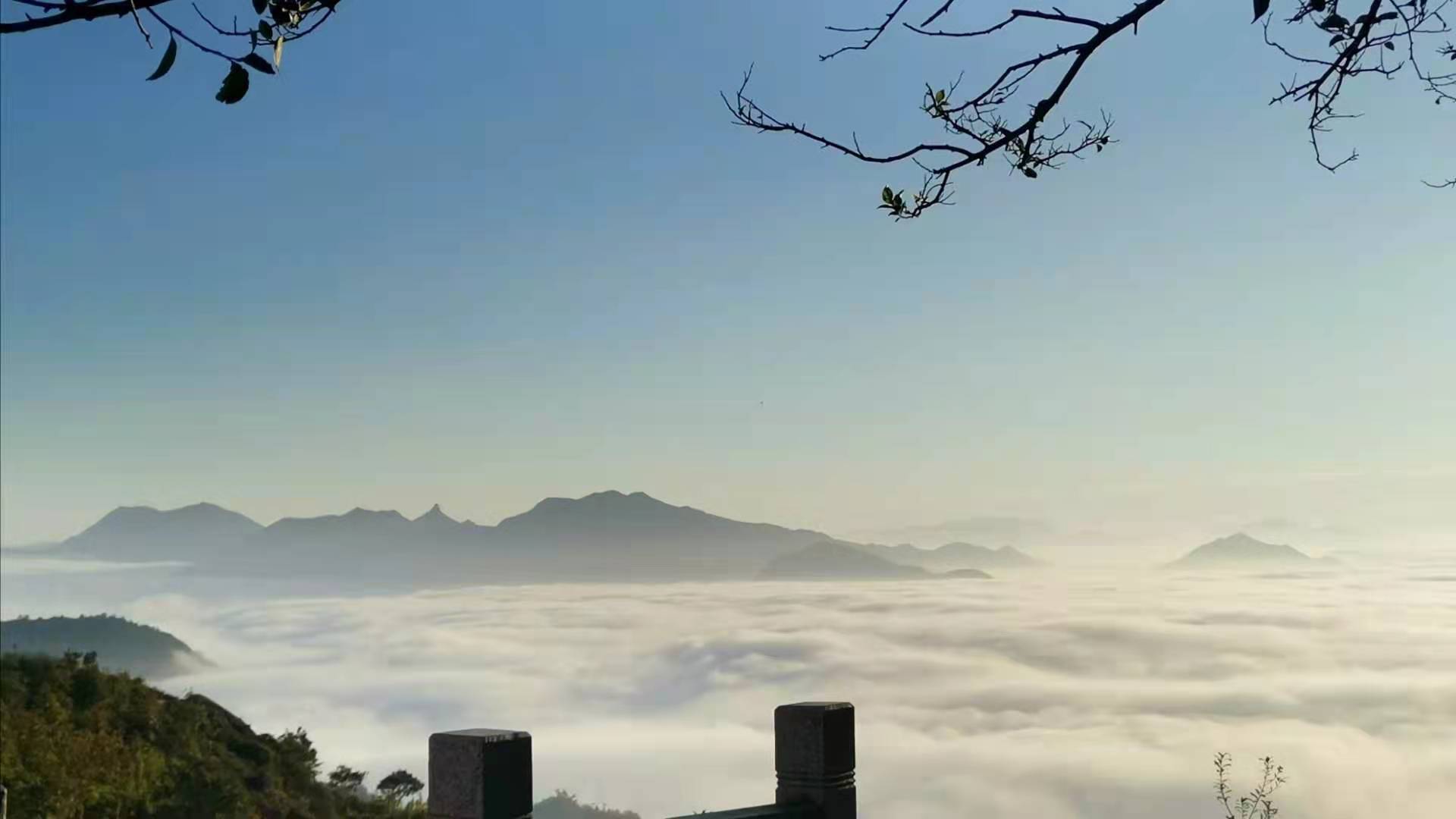 ΢��ͼƬ_20210123164121.jpg