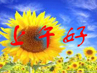 110409cilan74swbzziki5.gif