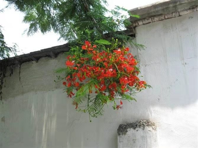΢��ͼƬ_20210412153949.jpg