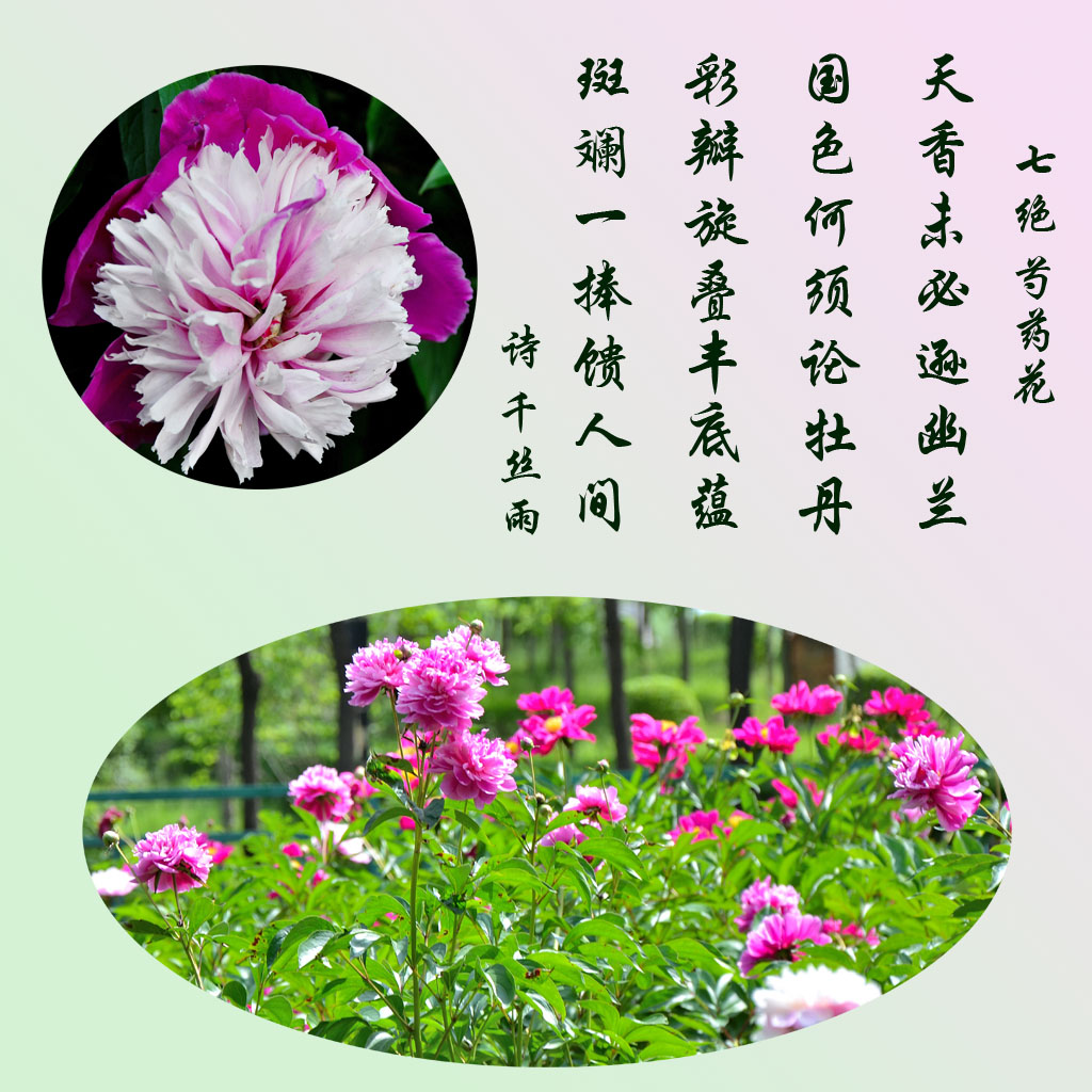 ǧ˿��1.jpg