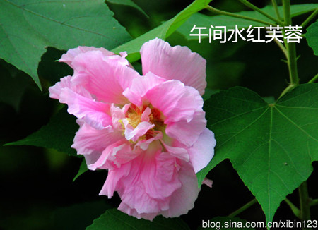 62ed8a6atx6BwnMy4ia06&amp;690.jpg