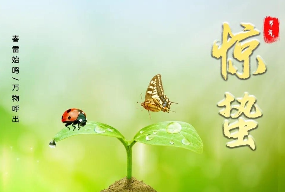 v2-7f809b20d103a655ae1c75006ab3f2c1_r.jpg
