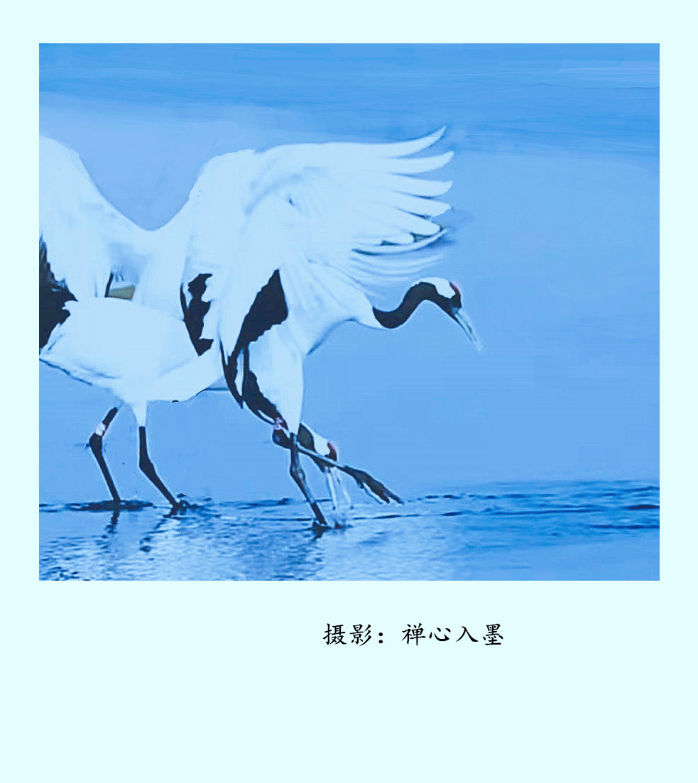 _20220510143240__����.jpg