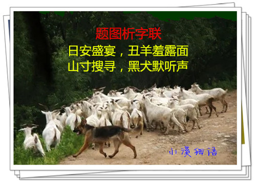 u=2113471897,2175607437&fm=253&fmt=auto&app=138&f=JPEG.webp_����.jpg