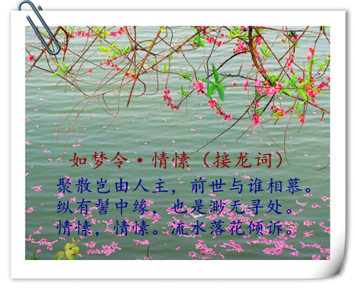 1205380692170_mthumb_����.jpg