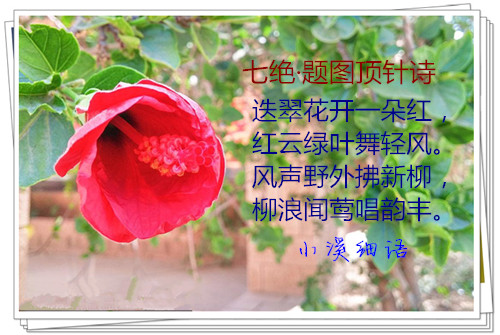u=996219376,1853311064&fm=193_����.jpg