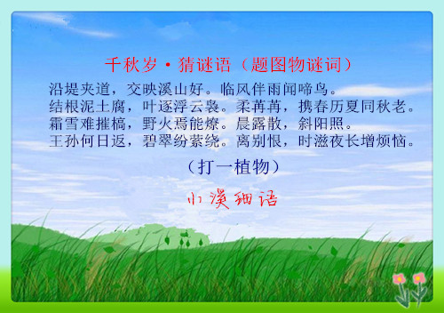 4b0202221409674493cc97cf5c941318_����.jpg