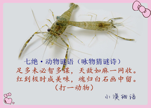 3d61516f0e377c6c07ebf70007e63577_����.jpg