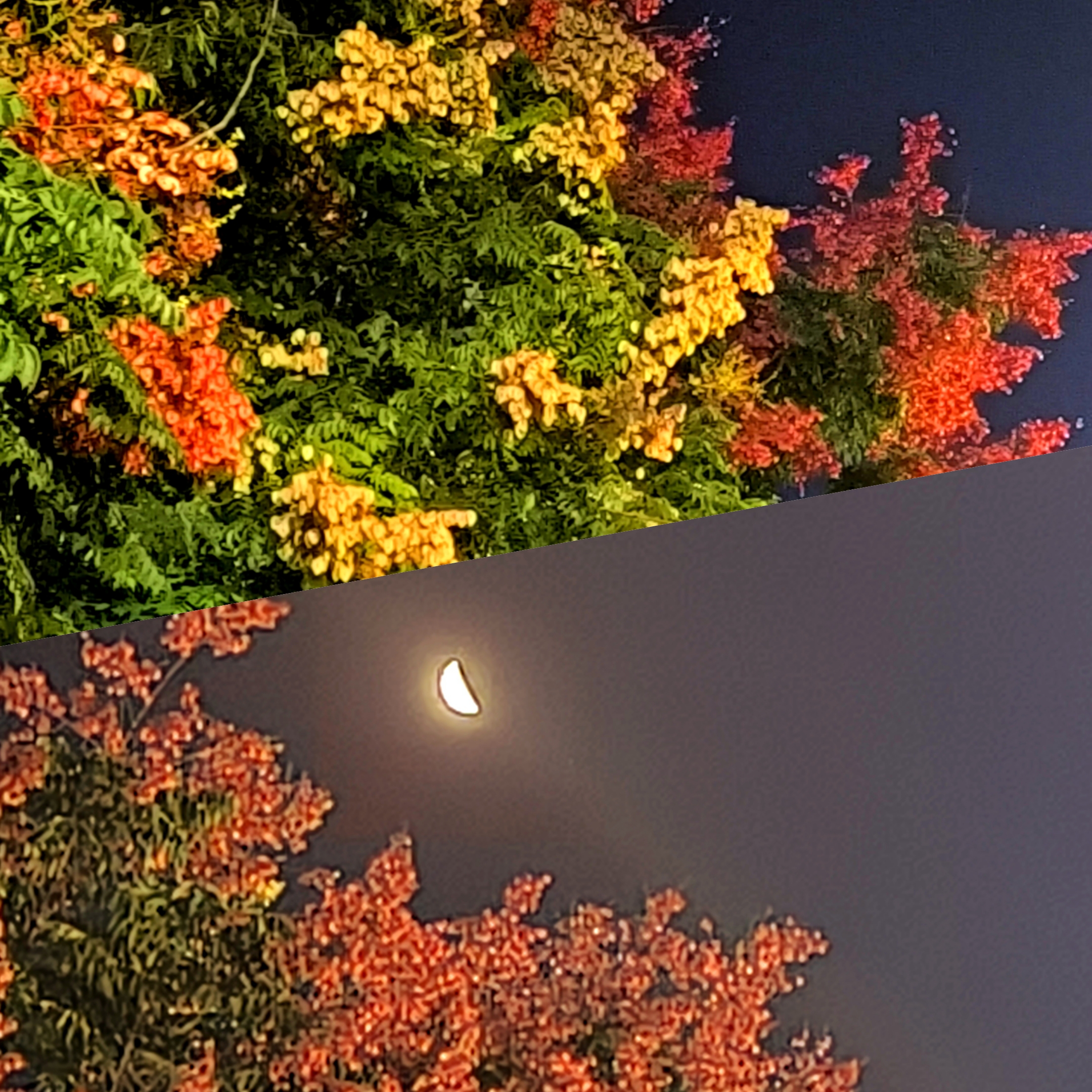 ΢��ͼƬ_20241105114449.jpg