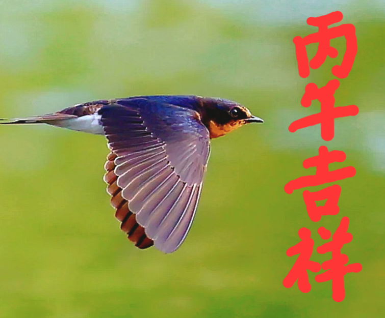 222516c30f1236cee984b557db8a3303.png