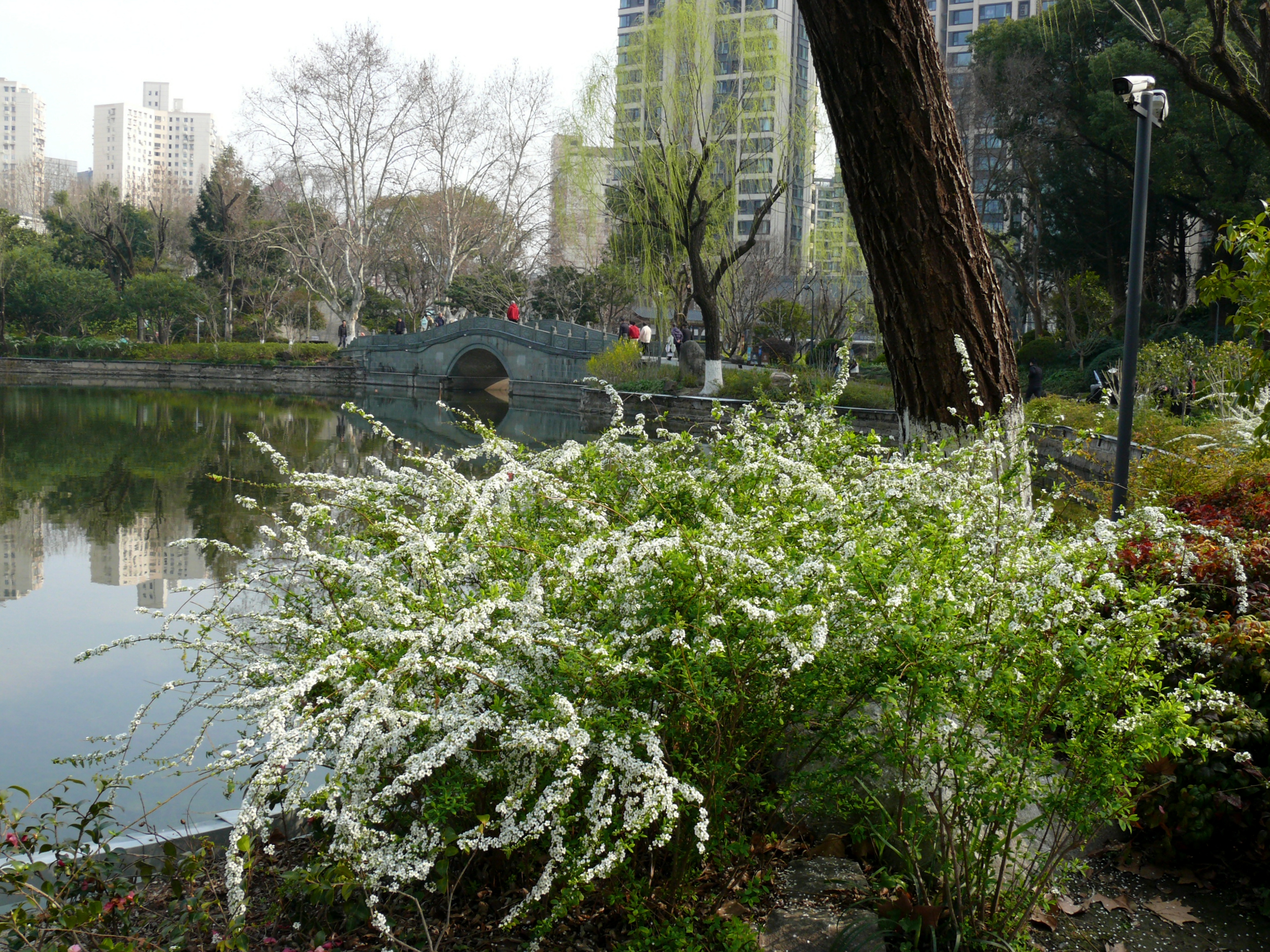 P1390390.JPG
