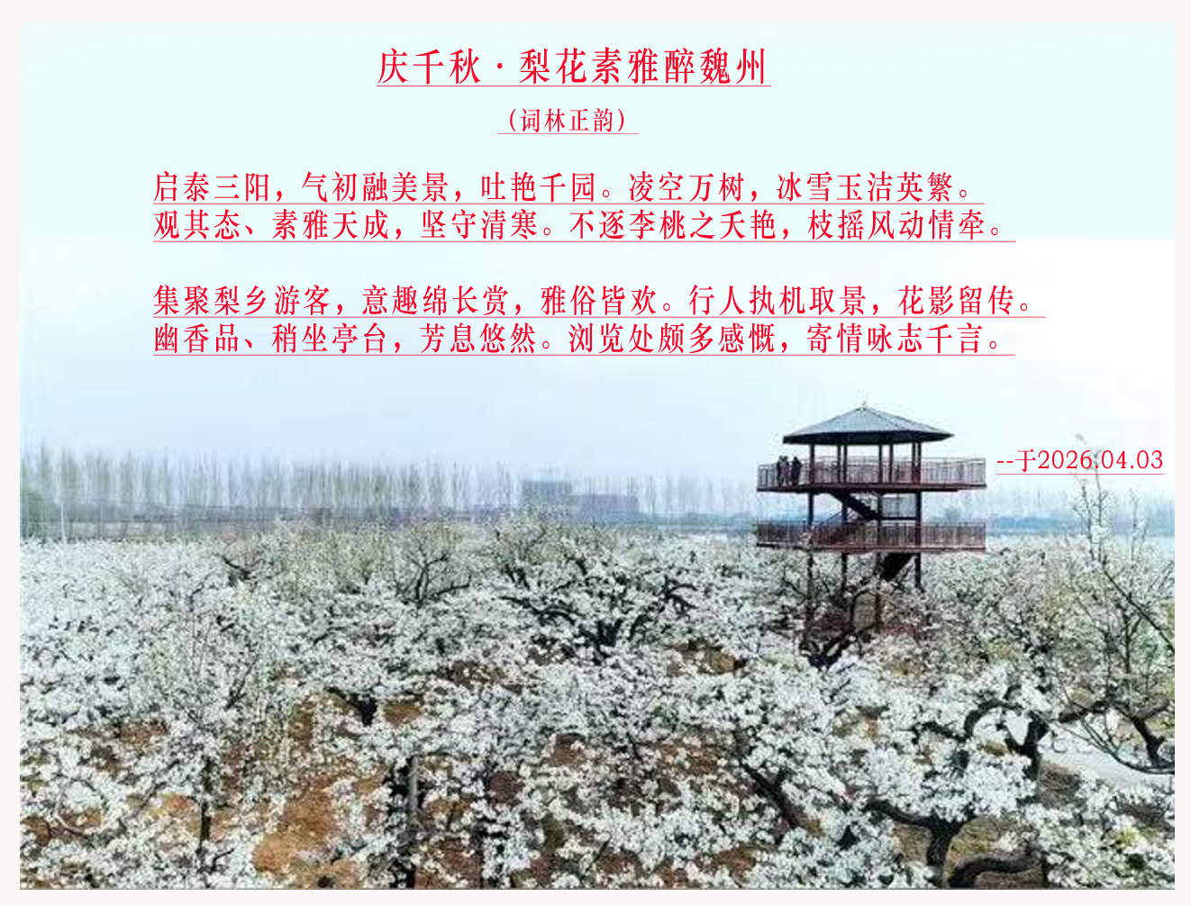 �滨.jpg