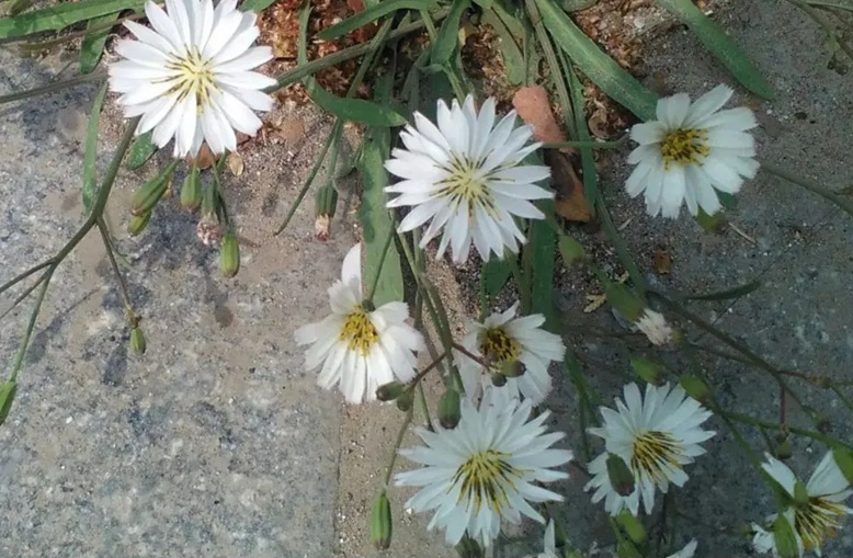 ��ݤ��.jpg